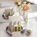 Boa - Bw Signature Collection - Centre Gares Lille